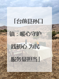 台前县孙口镇：暖心守护践初心 为民服务显担当